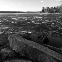 martins rocks bw
