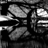 shadows bw