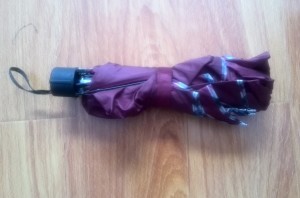 Traveling With an Umbrella - Survive Travel
