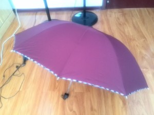 Traveling With an Umbrella - Survive Travel