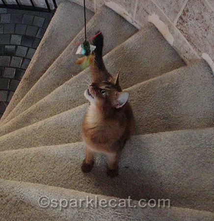 I'm STILL gonna get you!
