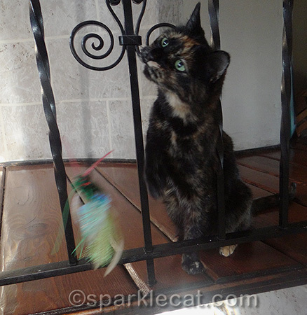 I think she has evildoing on her mind!