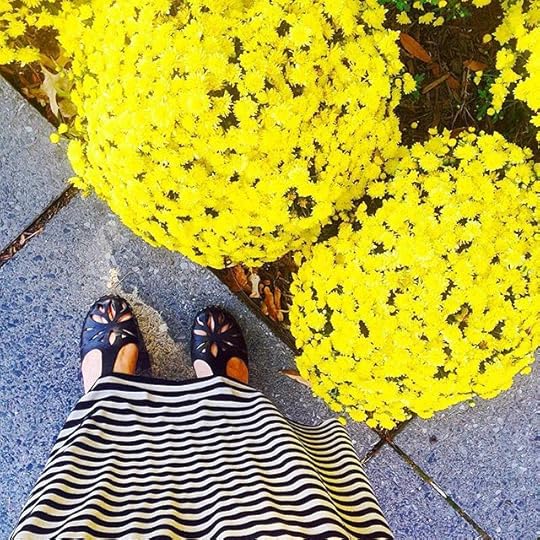 10598365_478828368961492_279458785_n