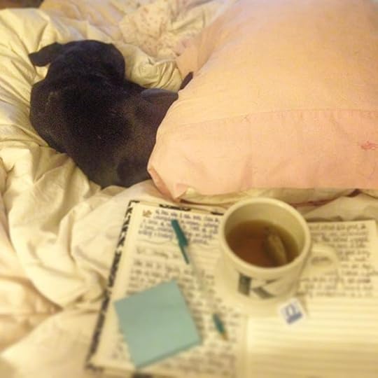 11371208_878681625550827_1759231169_n