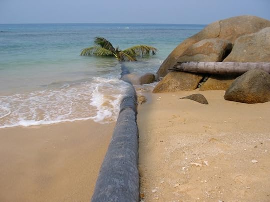 Travels & Daydreams Made Peachy 