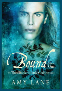 BoundVolume1_postcard_front_DSPP