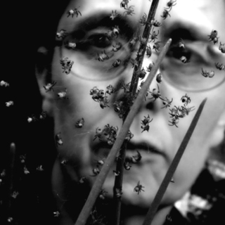 avatar for Casey June Wolf