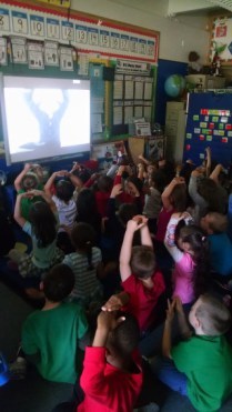 david-concert-1-320x568