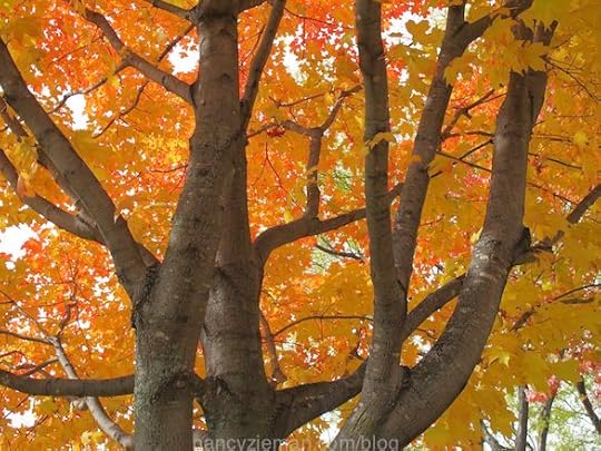 Landscape quilting by Natalie Sewell and Nancy Zieman, First Day of Summer by Nancy Zieman
