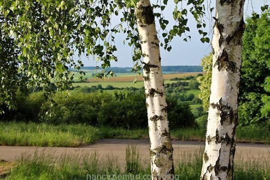 Landscape quilting by Natalie Sewell and Nancy Zieman, inspirational photo