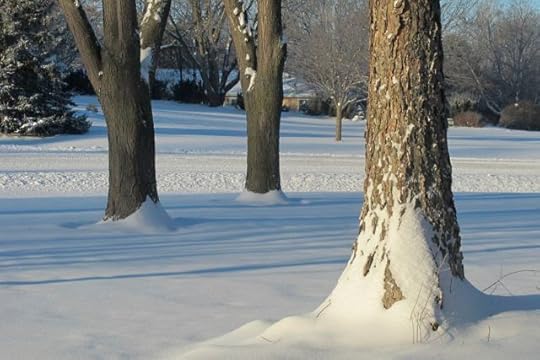 Landscape quilting by Natalie Sewell and Nancy Zieman, inspirational photo