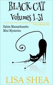 Black Cat Halloween cozy mystery series