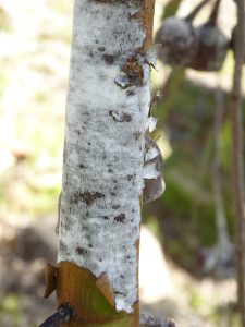 P1040566