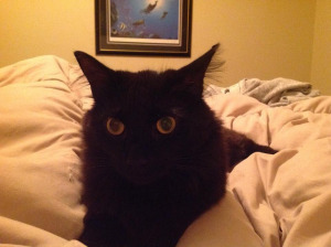nico