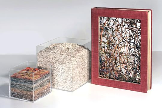 Susan Sironi, In Our Image, 2014, Courtesy of Offramp Gallery, Pasadena