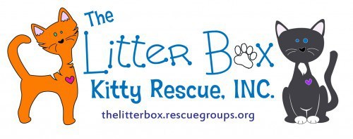 Litter Box