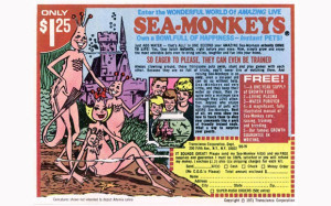 sea_monkey_pic_0