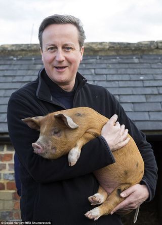 2CC9D33D00000578-3250546-I_ve_never_doubted_that_Mr_Cameron_like_most_of_his_generation_w-a-1_1443338255433