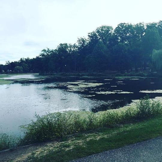 My walk this morning was cool and calm. I'll miss the park when it's covered in snow. #dailyphoto #ig2015 #365days