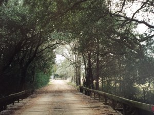 wooden bridge