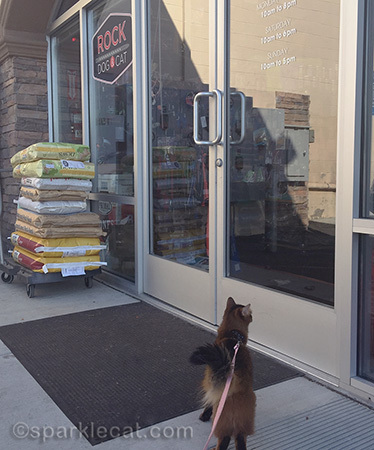 I'm looking to see if there are any dogs in there!