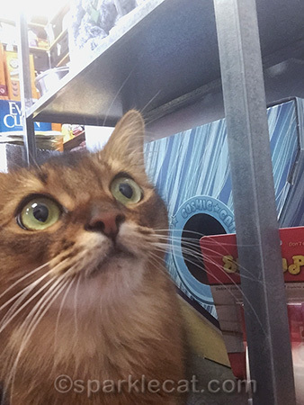 I was still sniffing that nip