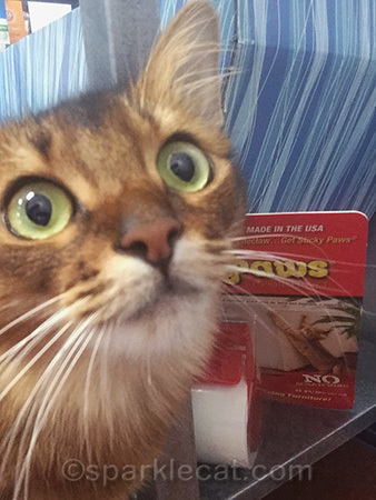 No, she did not buy Sticky Paws - we are mostly good kitties!