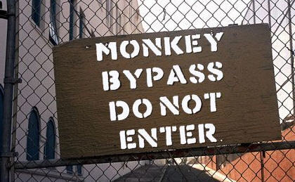 MONKEY BYPASS
