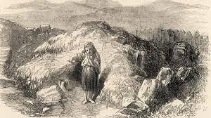 Image result for 1845 Irish scalp