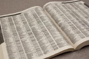 telephone book - white pages