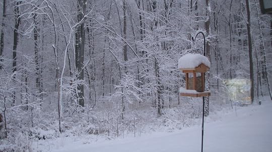 A frigging winter wonderland! 