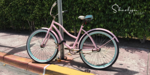 cycles, cycle, performance review, performance review cycles