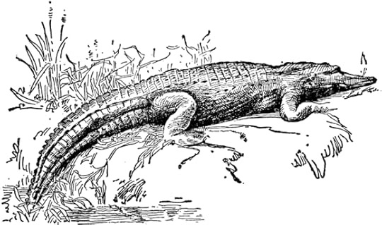 Alligator (artist unknown)