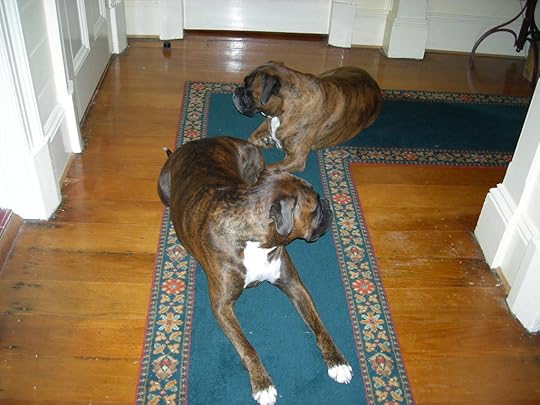  photo 10thJune2009 042_zpsi3pyyu12.jpg