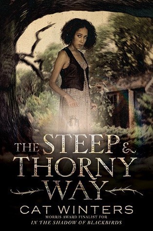steep and thorny way
