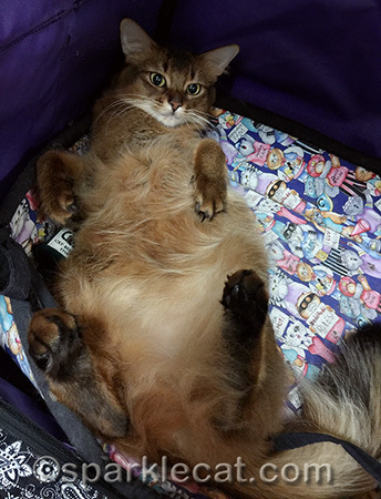 Geez, I look like I have big bunny feet in this photo!