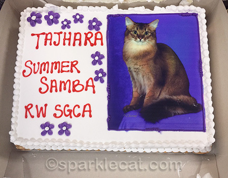 It looks like I'm actually IN the cake!