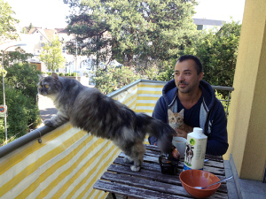liam and cats