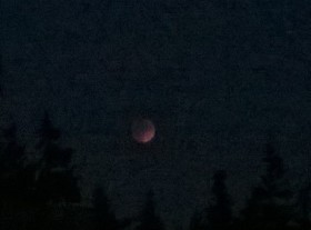 Supermoon Eclipse from my cell phone
