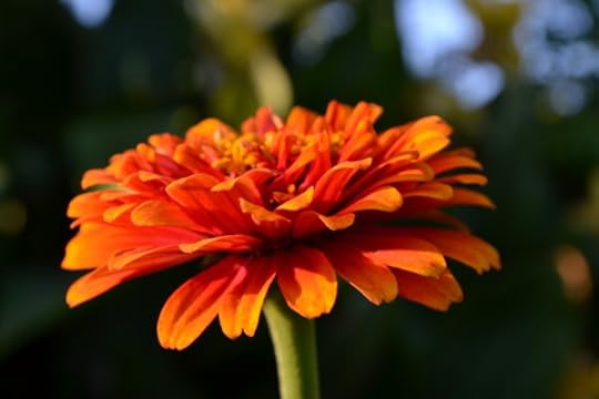 DSC_0026