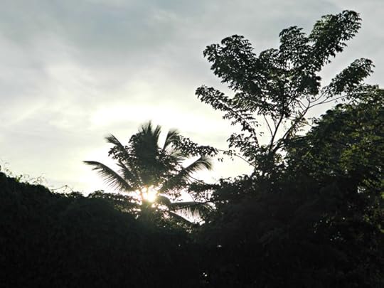 morning after blood moon eclipse