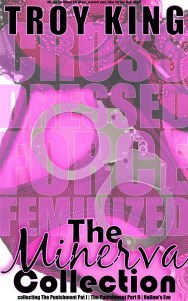 minervacollectionr2aSmall