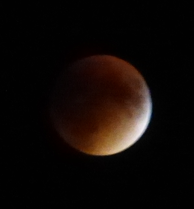 P1110933e.jpg