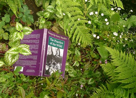 The Practice of the Wild by Gary Snyder