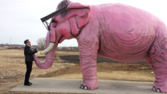 Bridget Birdsall (with the proverbial elephant in the room).