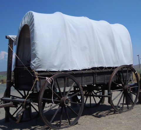 464.two wagons