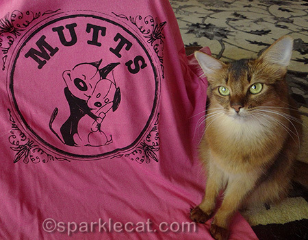I know I must have lots of Mutts fans out there