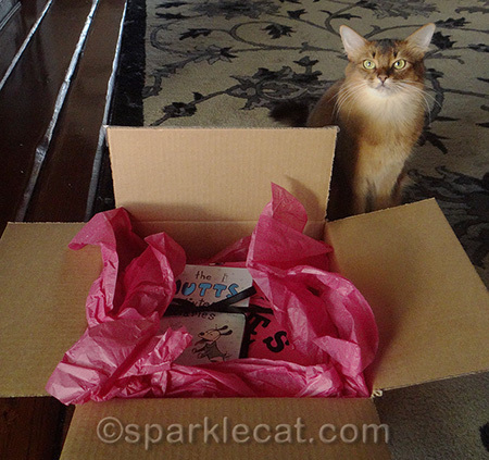 I love the pink tissue paper!