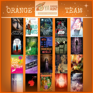 YASH ORANGE TEAM 2015