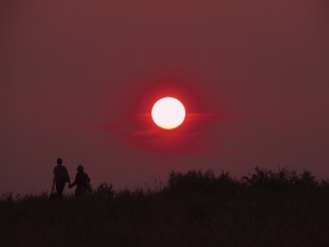 liefde-4